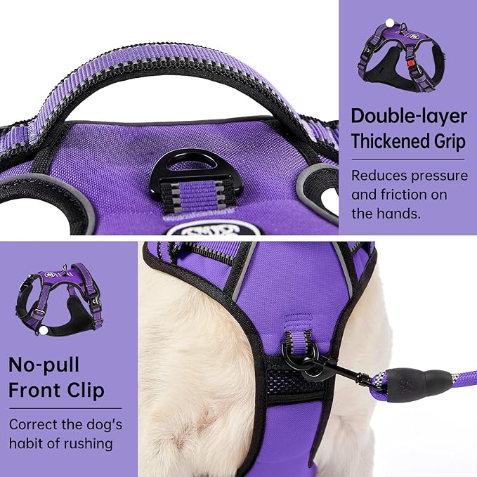 IVY&LANE No Pull Dog Harness for Medium Dogs, Dog Vest Harness with Leash, Safety Belt and Storage Strap, Fully Adjustable Harness, 360° Reflective Strip, Soft Handle (Purple, M)-Mewly Pet