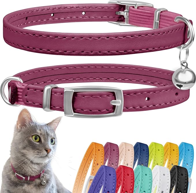 CollarDirect Leather Cat Collar with Bell - Kitten Collar, Small and Big Cat Strap for Boy Cats, Girl Cats with Safety Elastic Strap (Neck Fit 8"-11", Pink)-Mewly Pet