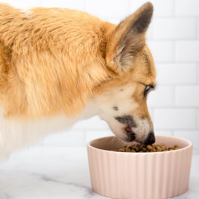 Waggo Ripple Ceramic Dog Bowl for Medium and Large Breeds - Modern with Matte Finish, Heavyweight Durable Pet Food and Water Dish Crock, Dishwasher Safe(Medium, Rose)-Mewly Pet