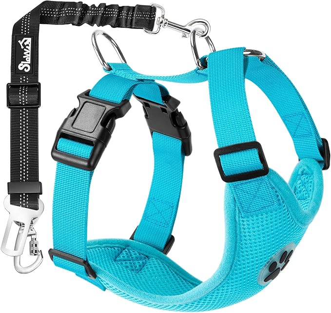 SlowTon Dog Seat Belt Harness for Car, Dog Car Harness Adjustable Mesh Breathable & Dog Seatbelt Safety Tether with Elastic Bungee for Small Medium Large Pets(Light Blue, Double Clip, XS)-Mewly Pet
