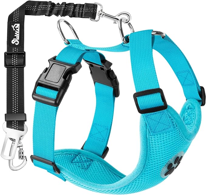 SlowTon Dog Seat Belt Harness for Car, Dog Car Harness Adjustable Mesh Breathable & Dog Seatbelt Safety Tether with Elastic Bungee for Small Medium Large Pets(Light Blue, Double Clip, M)-Mewly Pet