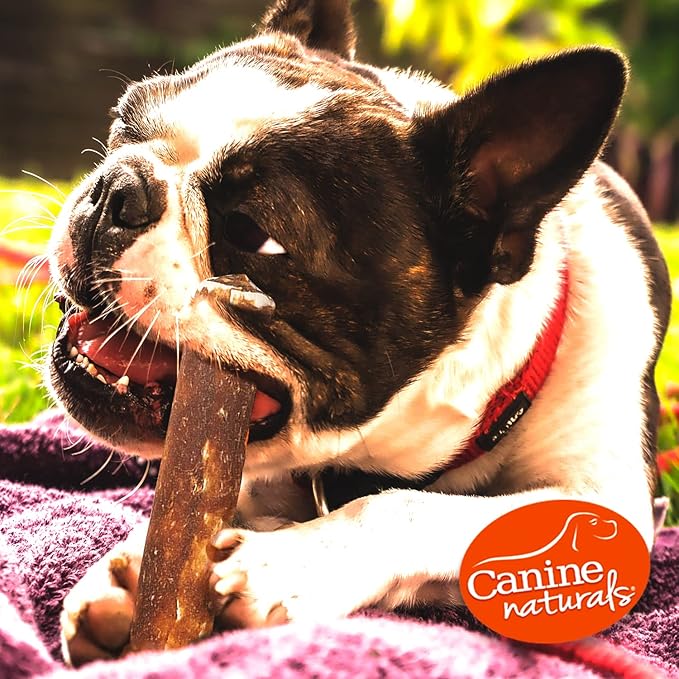 Canine Naturals Peanut Butter Chew - 100% Rawhide Free Dog Treats - Made with Real Peanut Butter - All-Natural and Easily Digestible - 2 Pack of 7 Inch Large Rolls for Dogs 50 lbs and up-Mewly Pet