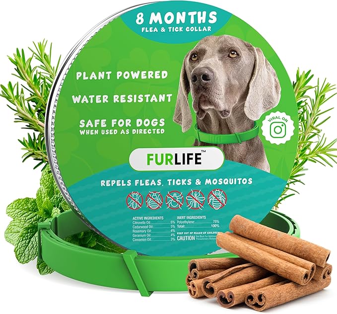 FurLife Flea and Tick Collar for Dogs – Waterproof Green Dog Collar, Pet Supplies for Tick and Flea Prevention for Dogs, Safe for All Breeds-Mewly Pet