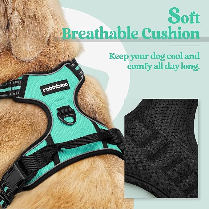 rabbitgoo Dog Harness No Pull with 2 Leash Clips, Adjustable Soft Padded, Reflective Oxford No Choke Pet Vest with Easy Control Handle for Large Dogs, Turquoise, XL-Mewly Pet