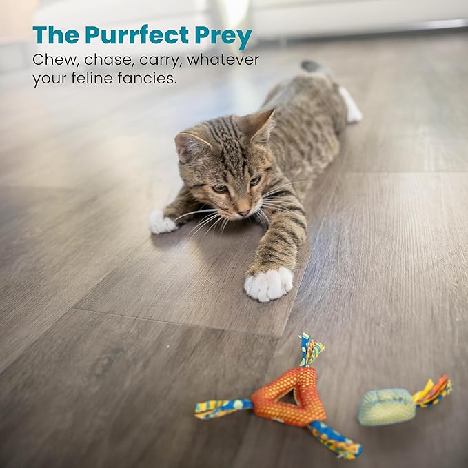 Petstages Dental Health Chews Pair-Mewly Pet