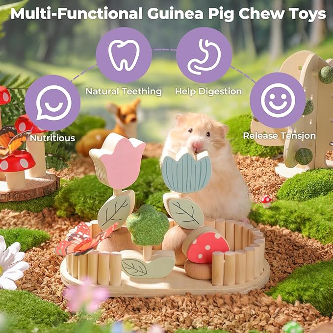 mini&moe Hamster Chew Toys for Teeth - Guinea Pig Chews Enrichment Toys Natural Edible Rabbit Chew Toy for Bunny, Rat, Chinchilla, Gerbils and Others Small Animal-Mewly Pet