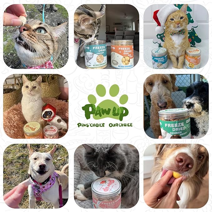 Freeze Dried Cat Treats, Raw Chicken Food for Dogs Cats, Single Ingredient, High Protein Natural Healthy Topper, 3.8 oz-Mewly Pet