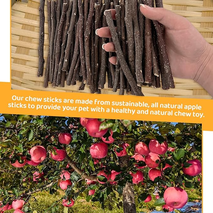 600g Apple Sticks Small Animals Wooden Pet Chew Treats Toys for Guinea Pigs Hamsters Rabbits Chinchillas Squirrels Small Animal Molar Wood Treats Toys-Mewly Pet