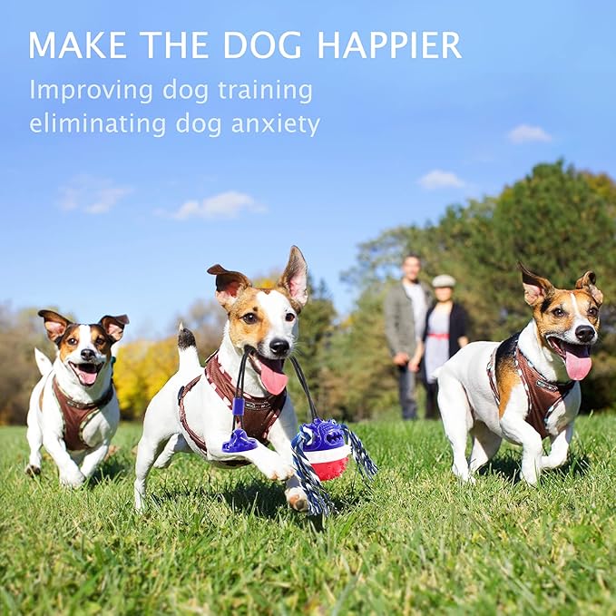 Aggressive Chewer Dog Toys - Rope Toys with Suction Cup, Teething Treats & Puzzle Food Dispensing Ball (Navy Blue)-Mewly Pet