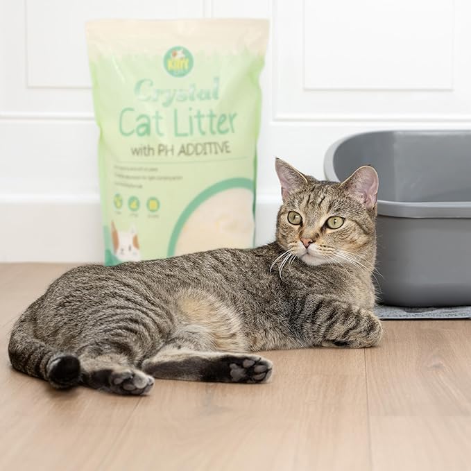 Kitty City PH Crystals Cat Litter 6LB-Mewly Pet