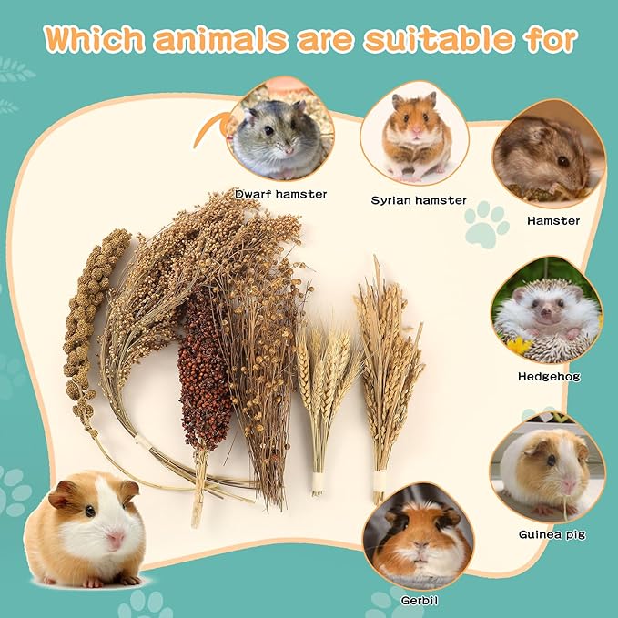 Hamster Spray Set - Natural Snack Grains & Chew Toys for Cage Decoration Accessories, Soft Bedding for Dwarf Syrian Hamsters, Gerbils, Mice & Small Pets-Mewly Pet