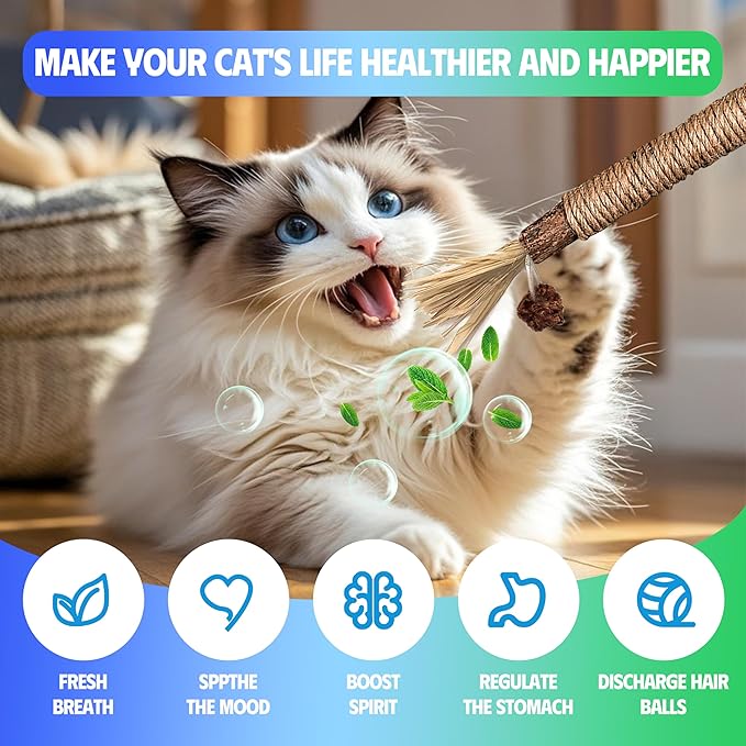 Cat Toys Chew Rope & Silvervine Sticks for Bored Indoor Adult Cats, 6Pcs Interactive Catnip Toys for Cats with Refillable Natural Catnip Bag for Teeth Cleaning-Mewly Pet