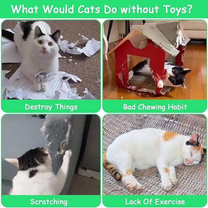 Cat Toys Pineapple with Natural Catnip Inside, Interactive Catnip Toys for Indoor Cats Kitten Kicker, Dental Kitty Chew Toy 6 Pack-Mewly Pet