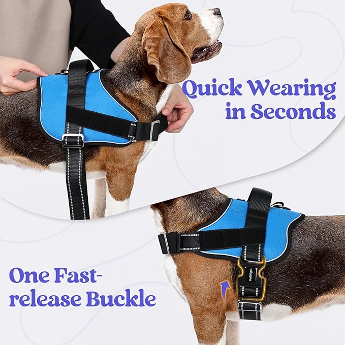 rabbitgoo Dog Harness for Small, Easy On Pet Vest with One Buckle, No Pull Adjustable Service Harness with D-Ring & Handle, Reflective for Safety Walking, Training, Blue, S-Mewly Pet