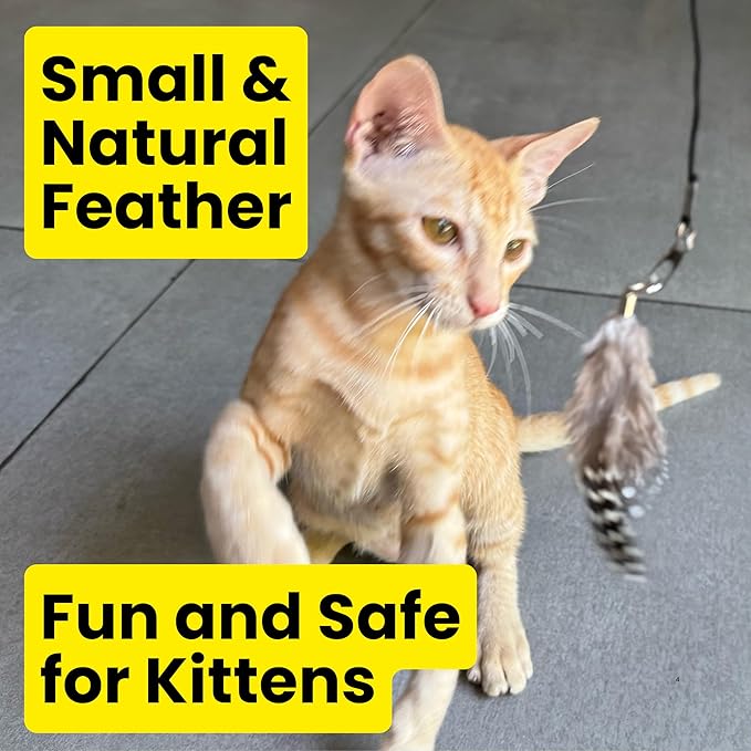 Feather Toys Replacements (3 Pc) - Cat Toys & Kitten Toys for Indoor Kittens, Set of Replacement Feather Attachments Extra Small and Durable, for Cat Wands, Natural and Safe-Mewly Pet