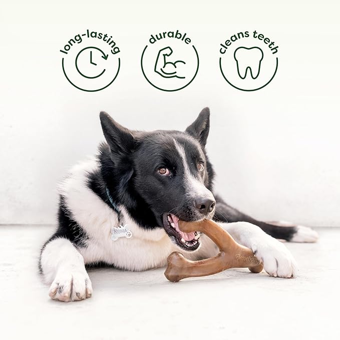 Benebone 2-Pack Bacon Wishbone/Rubber Bone Medium-Mewly Pet