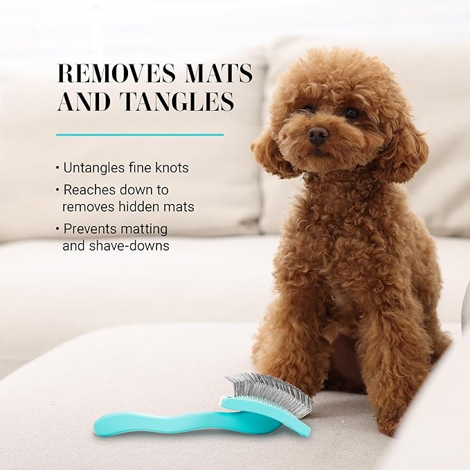 Chris Christensen Big G Dog Slicker Brush for Dogs (Goldendoodles, Labradoodles, Poodles), Groom Like a Professional, Fluff Detangle Style, Saves Time Energy, Teal, Medium-Mewly Pet