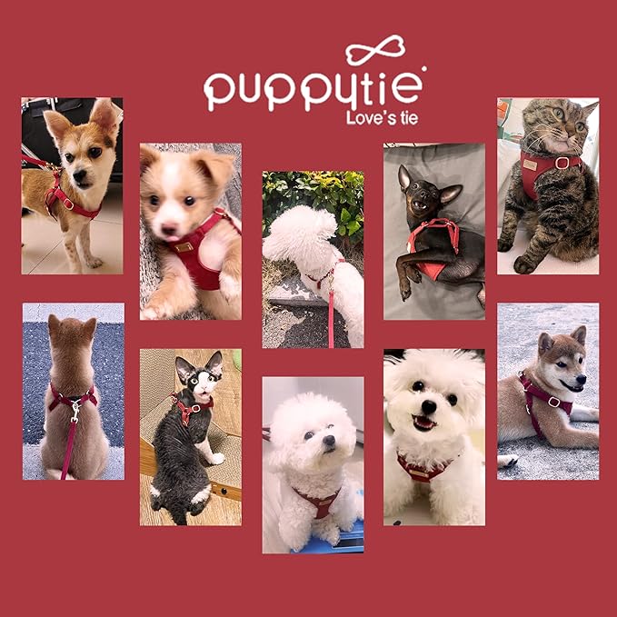 Puppytie No Pull Dog Harness with Multifunction Dog Leash,Soft Adjustable No Choke Escape Proof Pet Harness Vest for Medium Dogs or Large Dogs,red Hawthorn,M-Mewly Pet