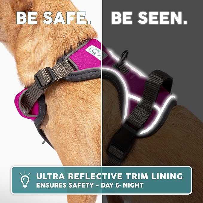 Embark Adventure Dog Harness, No-Pull Reflective Trim Dog Harness for Small, Medium & Large Dogs - Military Grade Nylon, 2 Leash Clips & Gel Lined Handle. Soft & Padded Puppy Dog Vest for Any Breed-Mewly Pet