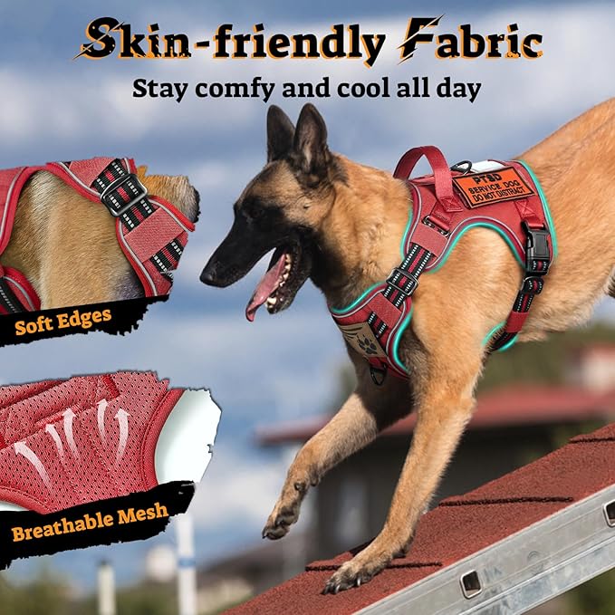 rabbitgoo Dog Harness Medium Sized No Pull, Tactical Service Pet Vest with Molle and Control Handle, Adjustable and Reflective Military Harness for Easy Walking and Training, Red, M-Mewly Pet