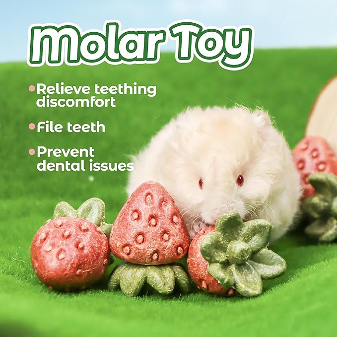 TEEWY 4PCS Hamster Chew Toys, Guinea Pig Chew Toys for Teeth with Natural Vegetables and Timothy Grass, Chinchilla Toys,Dental Care for Rats/Guinea Pigs/Hamsters and Gerbil, Strawberry-Shape-Mewly Pet