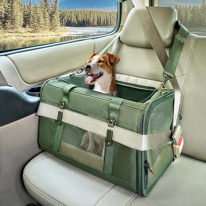 Petsfit 19x12x12 Pet Carrier for Large Cats (up to 20 lbs), Soft-Sided Small Dog Travel Carrier, Upgraded with Patented Buckle and Soft Padding, Ideal for Car Road Trips Green-Mewly Pet
