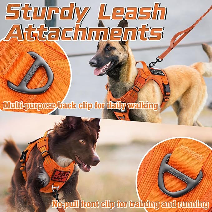rabbitgoo Tactical Dog Harness for Large Dogs, No Pull Military Service Vest with Handle & Molle, Easy Control for Training Walking, Adjustable Reflective Straps, Orange, L-Mewly Pet