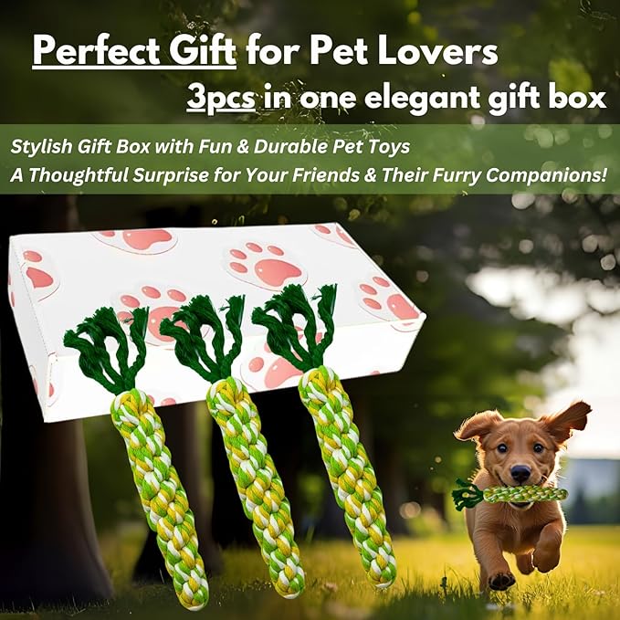 3PCS Rainbow Woven Pet Chew Set, Colorful Puppy Teething Chews, Dog Chew Toys, Cat Teething Playset, Soft & Safe Interactive Pet Chews-Mewly Pet