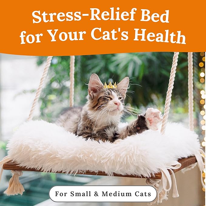 Cat Window Perch - Hammock Bed for Cats Inside - Solid Wood Seat, 4 Strong Suction Cups, Soft Cushion - Rustic Indoor Pet Shelf-Mewly Pet