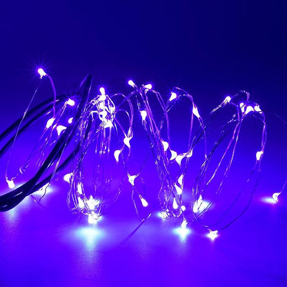Karlling USB Plug in LED Fairy Lights,50 LED Bulbs 16 Ft Silver Wire Starry String Lights for Bedroom Patio Garden Party Wedding Commercial Lighting (Purple)