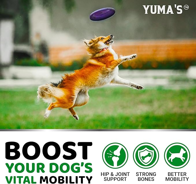 YUMA'S Glucosamine for Dogs - Hip and Joint Supplement for Dogs - 170 Ct - Glucosamine Chondroitin Chews - Joint Pain Relief Supplement with MSM - Advanced Health - Mobility Support - Made in USA-Mewly Pet