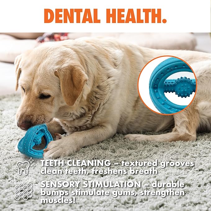 Max Fusion with Nike Grind, Arlee Phoneix Dog Toy, Chew Toy for Play, Fetch, Tug, M-Mewly Pet