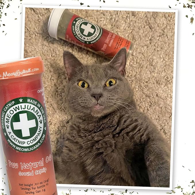 Meowijuana Purrple Passion Cat Nip - Premium Organic Blend of Catnip for Cats & Silvervine, Stimulates Playful Behavior, 26g, Natural Wellness Gift for Cat Lovers-Mewly Pet