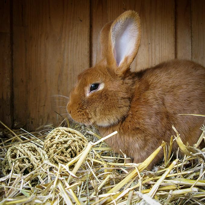 10 Pcs Small Animals Play Balls Rolling Activity Chew Toys Gnawing Treats for Rabbits Guinea Pigs Chinchilla Bunny Natural Balls, Pet Cage Entertainment Accessories(10Pcs)-Mewly Pet