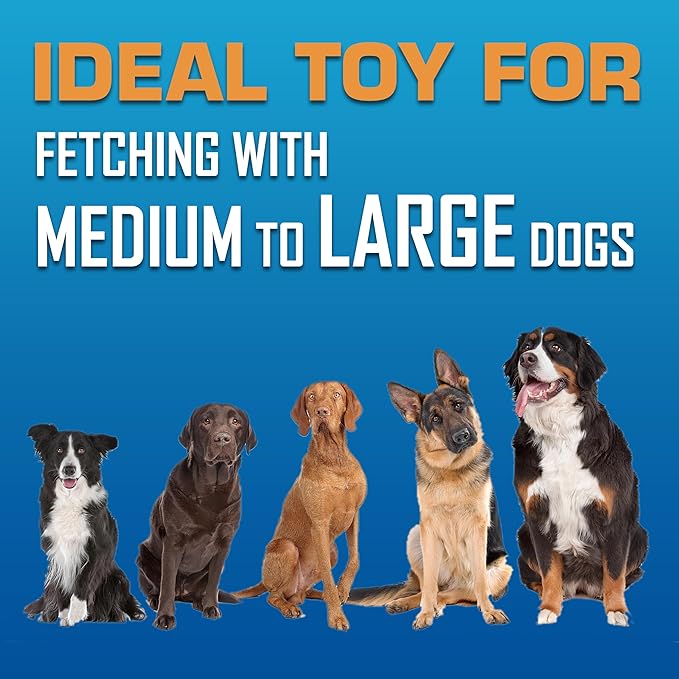 Nerf Dog Tire Flyer Outdoor Dog Toy, 10 Inch Flying Disc Dog Fetch Toy, Rubber Dog Toy for Medium Dogs and Large Dogs, Blue-Mewly Pet