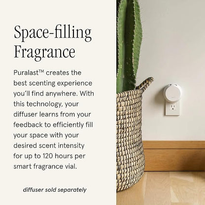 Pura & Tommy Bahama Home Scent Refill - Smart Home Air Diffuser - Up to 120-Hours of Luxury Fragrance per Refill - Home Essential - Clean & Safe Diffuser Fragrance - 2 Pack, Maui Mango