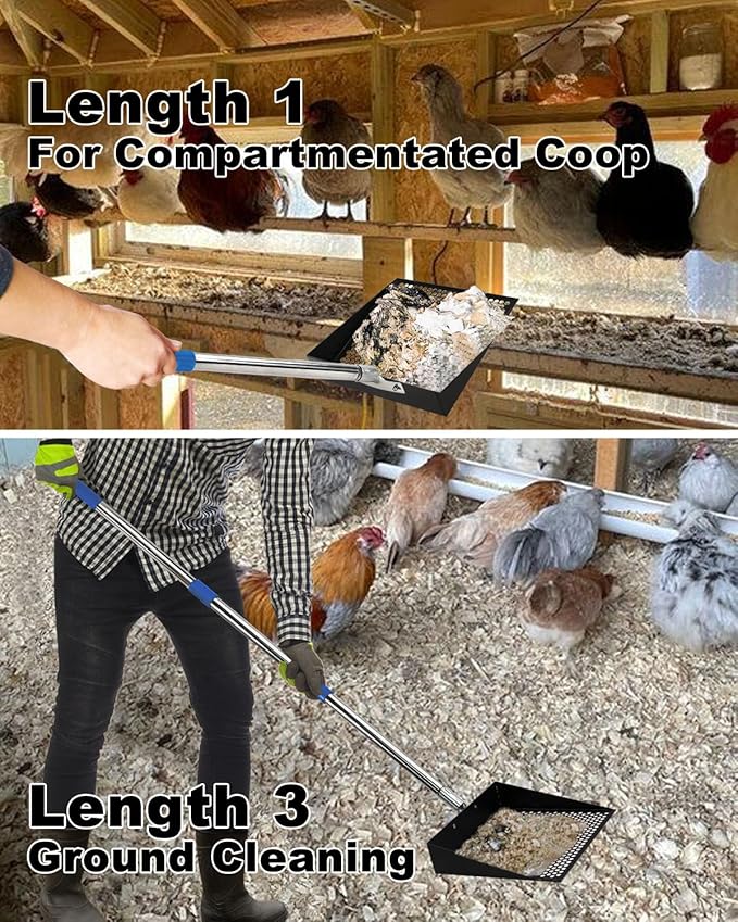 Large Chicken Poop Scooper, Chicken Coop Accessories,Metal Litter Scooper For Chicken,Chicken Coop Cleaning Tools,Heavy Duty Poop Shovel For Chicken Coop Accessories,Chicken Coop Must Haves (Black)-Mewly Pet