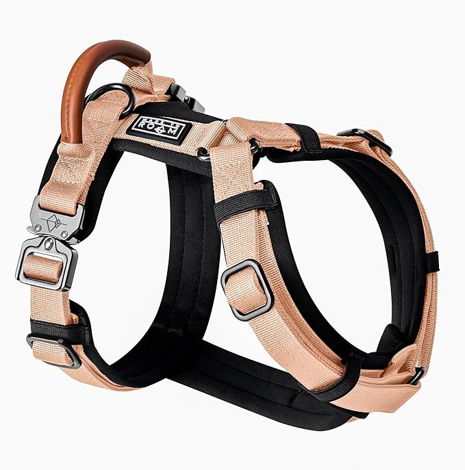 MADE TO ROAM Premium Explorer Harness - Y-Shaped Dog Harness with Adjustable Durable Nylon, Soft Padding, Metal Buckles and Leather Handle for Small, Medium, Large Dogs (Carolina Blooms, Size 4)-Mewly Pet