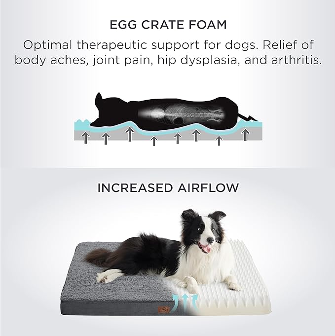 Bedsure Dog Beds Large Sized Dog - Orthopedic Flat Pet Beds with Removable Washable Cover, Egg Crate Foam Puppy Mat, Suitable for Pet Up to 65 lbs-Mewly Pet
