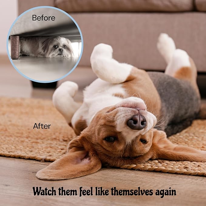 MalsiPree Calming Chews for Dogs - 145 pcs Chicken - Helps Regulate Mood - Relief Treats - No Sedative Effect - Freeze Dried - with Passion Flower & Melatonin-Mewly Pet