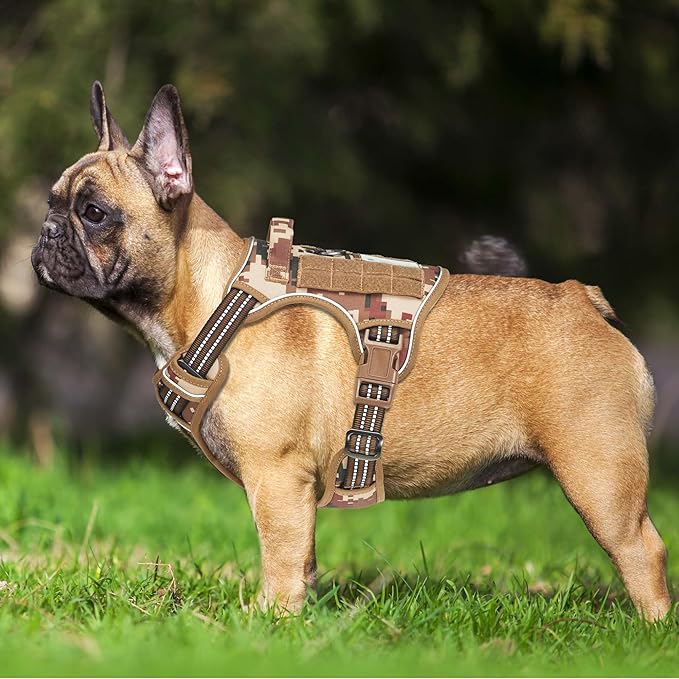 Heavy Duty Tactical Dog Harness for Small Dogs, No Pull Adjustable Pet Harness Reflective Service Training Easy Control Pet Vest Military K9 Working Dog Harnesses- Small, Desert Camo-Mewly Pet