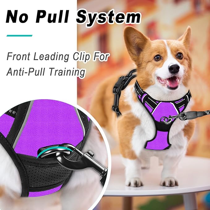 BARKBAY No Pull Dog Harness Large Step in Reflective Dog Harness with Front Clip and Easy Control Handle for Walking Training Running(Purple,S)-Mewly Pet