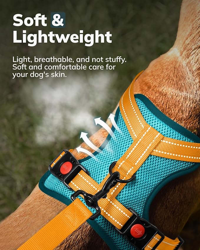 MIDOG No-Pull Dog Harness | Adjustable & Reflective Pet Harness Leash Set for Small Medium Large Dogs Walking, Training| No Choke, Front Clip, Soft Padded Vest with Easy Control Handle - Blue, L-Mewly Pet