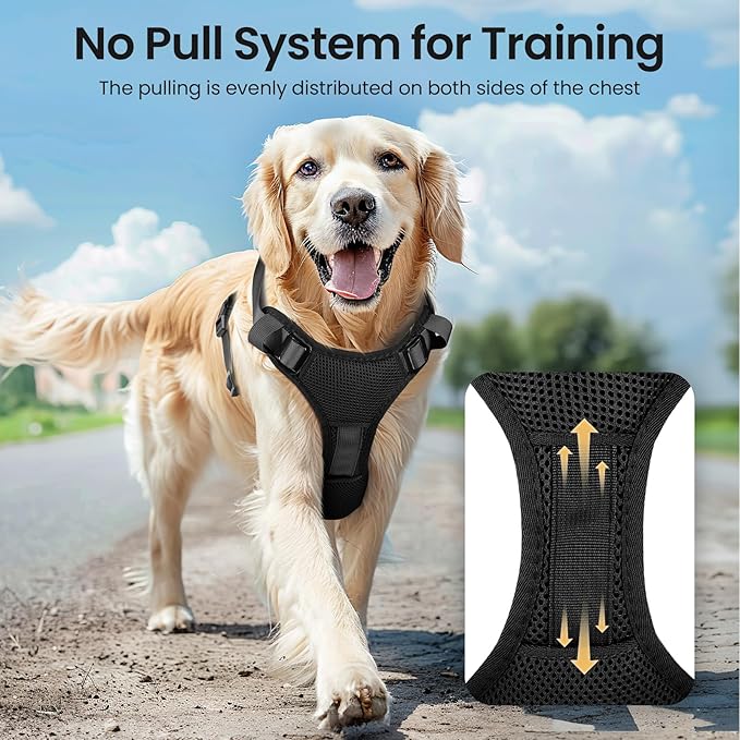 Light Up Dog Harness,Reflective Pet Harness Rechargeable,Led Dog Vest Harness for Night Walking,Adjustable Dog Safety Vest for Small Medium Large Dogs-No Pull,Black,XL-Mewly Pet