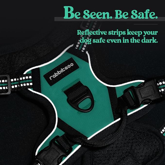 rabbitgoo Dog Harness No Pull with 2 Leash Clips, Adjustable Soft Padded, Reflective Oxford No Choke Pet Vest with Easy Control Handle for Puppy, Turquoise, XS-Mewly Pet