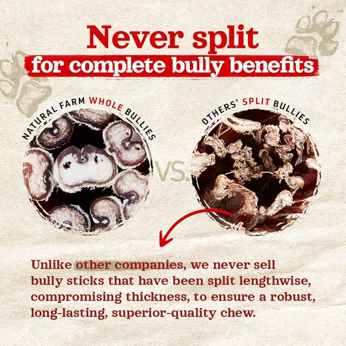 Natural Farm Odor-Free Thick Bully Sticks (6”, 5-Pack) All-Natural Long-Lasting Dog Chews, 100% Beef Pizzle, Grass-Fed, Grain-Free, Protein for Muscle Development & Energy, Perfect for Medium Chewers-Mewly Pet
