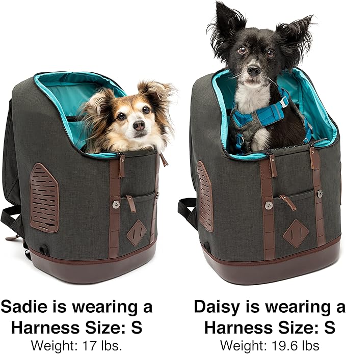 Kurgo Dog Carrier Backpack for Small Pets - Dogs & Cats | Cat | Hiking or Travel | Waterproof Bottom | K9 Ruck Sack (Heather Black)-Mewly Pet