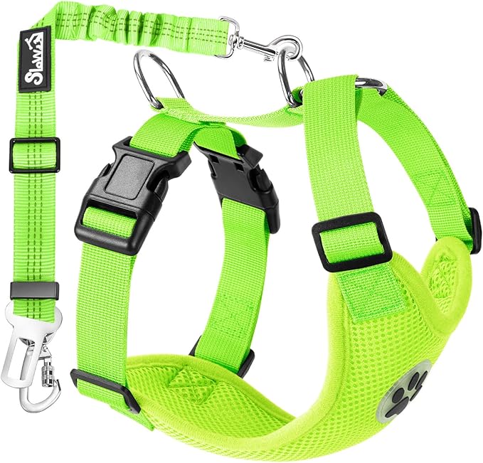 Lukovee Dog Seat Belt for Car, Adjustable Dog Car Harness for Large Medium Small Dogs, Soft Padded & Breathable Mesh Dog Seatbelt with Car Strap and Carabiner(Lime Green Double Clip,Small)-Mewly Pet