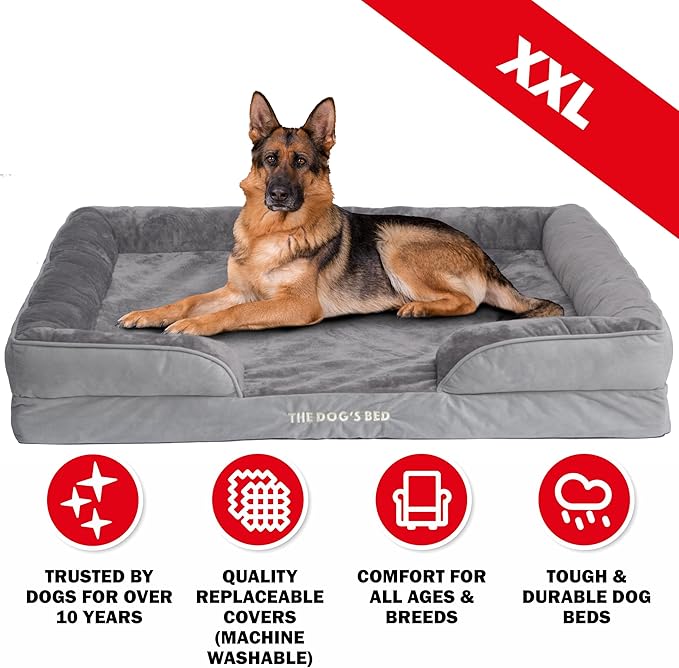 The Dog’s Bed, Orthopedic Standard Foam Waterproof Dog Bed with Standard Support, XXL Silver Grey Plush, Waterproof, Supportive Dog Bed with Replaceable Covers, Veterinary Approved-Mewly Pet