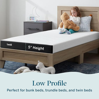 Lucid 5 Inch Memory Foam Mattress – Low Profile - Firm Feel - Infused with Bamboo Charcoal and Gel - Bed in a Box - Temperature Regulating - Breathable - Queen Size